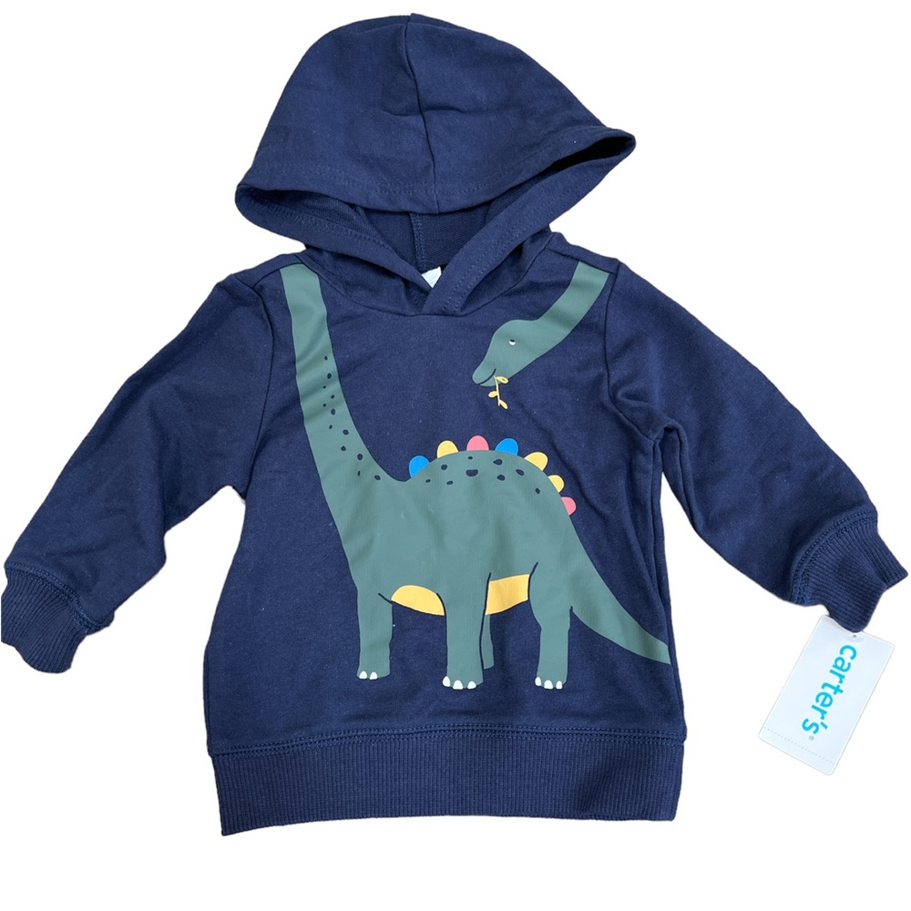 Carter’s dinosaur hoodie 9 months